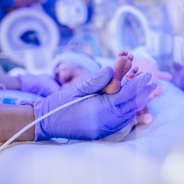 Macro photo of doctor's hands and legs of a child. Newborn is placed in the incubator. Neonatal intensive care unit